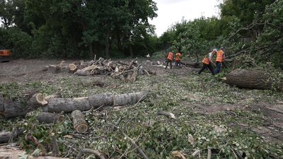 "Тут буде просто пательня": у Чернігові на вулиці Єськова спиляють понад 100 дерев через ремонт дороги "Тут буде просто пательня": у Чернігові на вулиці Єськова спиляють понад 100 дерев через ремонт дороги