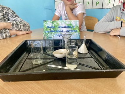"Пізнаємо природу": учні одного з житомирських ліцеїв на інтерактивному уроці вчилися очищати воду "Пізнаємо природу": учні одного з житомирських ліцеїв на інтерактивному уроці вчилися очищати воду
