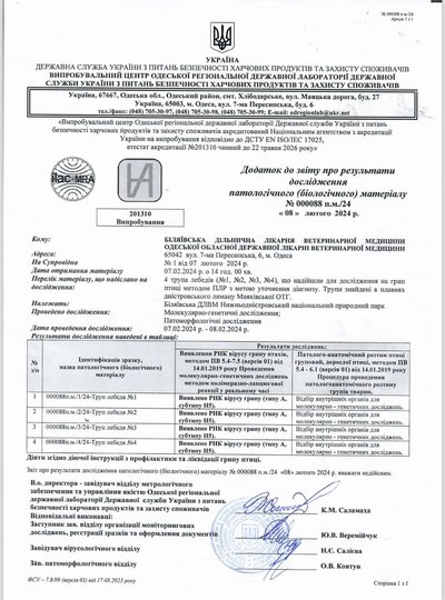 На Одещині ввели карантинні обмеження через гибель лебедів: яка причина На Одещині ввели карантинні обмеження через гибель лебедів: яка причина