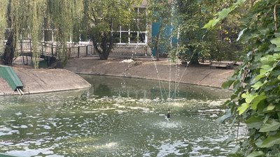 Водойма для птахів на території зоопарку, 24 вересня 2024 року Водойма для птахів на території зоопарку, 24 вересня 2024 року
