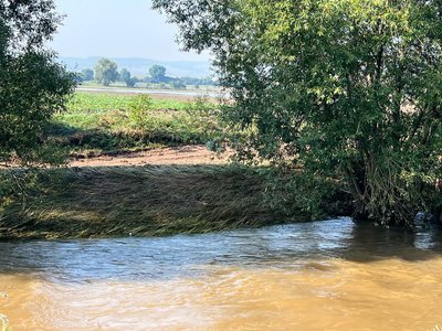 Гуманітарна допомога з Бердичева: як українці підтримують поляків після повені Гуманітарна допомога з Бердичева: як українці підтримують поляків після повені