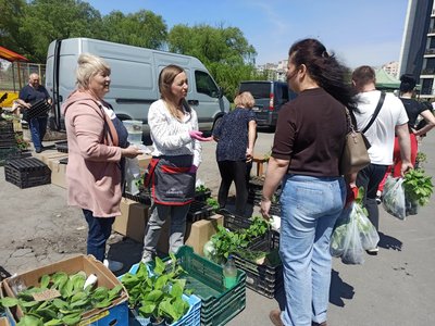 Люди купують різноманітну розсаду для свого городу Люди купують різноманітну розсаду для свого городу