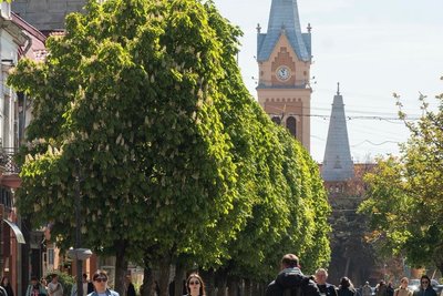 У Мукачеві почали квітнути каштани У Мукачеві почали квітнути каштани