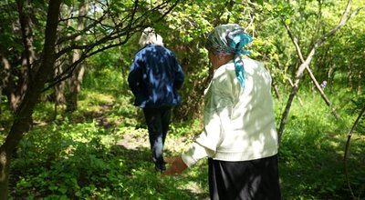 Екзотичний ліс: подружжя на Черкащині вирощує незвичні для регіону рослини Екзотичний ліс: подружжя на Черкащині вирощує незвичні для регіону рослини