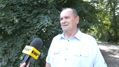 Занедбана пам'ятка садово-паркового мистецтва: у Івницькому парку аварійні дерева падають на дорогу Занедбана пам'ятка садово-паркового мистецтва: у Івницькому парку аварійні дерева падають на дорогу