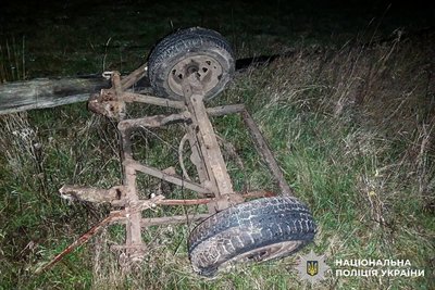 Автомобіль в'їхав у гужову підводу на Рівненщині: внаслідок ДТП були травмовані люди та кінь