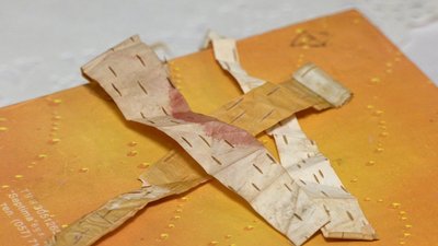 Березова кора Березова кора