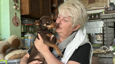 На Миколаївщині у притулку живуть 160 тварин На Миколаївщині у притулку живуть 160 тварин