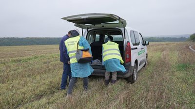 На Вінниччині триває осіння кампанія з вакцинації диких тварин На Вінниччині триває осіння кампанія з вакцинації диких тварин