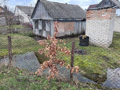 Зимовий паводок на Волині: яка ситуація з підтопленнями у Ківерцівській громаді Зимовий паводок на Волині: яка ситуація з підтопленнями у Ківерцівській громаді