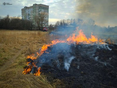 Пожежі в екосистемах Київщини: за одну добу вигоріли близько 10 гектарів території Пожежі в екосистемах Київщини: за одну добу вигоріли близько 10 гектарів території