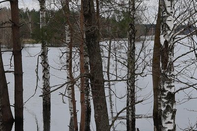 На річці Грезля у Житомирській області вода зруйнувала переправу На річці Грезля у Житомирській області вода зруйнувала переправу
