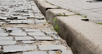 Бордюри на вулиці Заньковецької Бордюри на вулиці Заньковецької