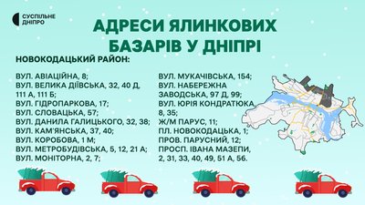 У Дніпрі визначили місця продажу ялинок