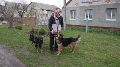 Житель Великої Рибиці пішки вивів своїх собак з-під обстрілів