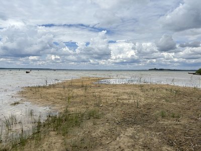 Два тижні дощів на Світязь не підвищили рівня води в озері Два тижні дощів на Світязь не підвищили рівня води в озері