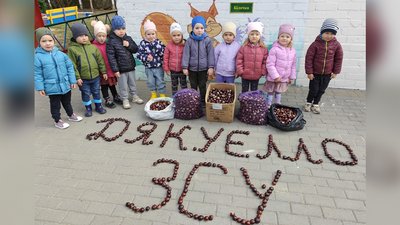 «Каштани для ЗСУ — 2026»: у Житомирі стартував п'ятий сезон благодійної акції