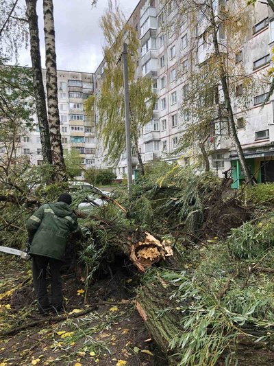 На Житомирщині поривами вітру дерева повалило на дороги та на автомобіль На Житомирщині поривами вітру дерева повалило на дороги та на автомобіль