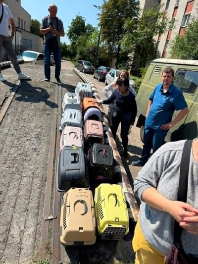 У Львові сім’ю з 14 котами, яка втратила житло через ракетний удар РФ, тимчасово поселили у модульному містечку У Львові сім’ю з 14 котами, яка втратила житло через ракетний удар РФ, тимчасово поселили у модульному містечку