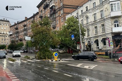 Негода у Києві: вітер повалив дерево на дроти Негода у Києві: вітер повалив дерево на дроти