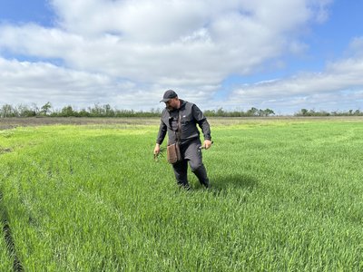“Наші кавуни не гірші херсонських”: фермер з Донеччини вирощує врожай під обстрілами “Наші кавуни не гірші херсонських”: фермер з Донеччини вирощує врожай під обстрілами
