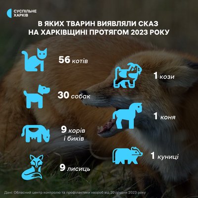 У Лозівській громаді збільшується кількість випадків сказу: у чому причина У Лозівській громаді збільшується кількість випадків сказу: у чому причина