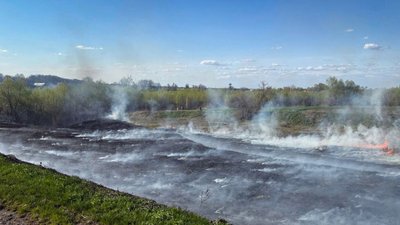 На Черкащині протягом 15 квітня згоріло понад сім гектарів сухостою та сміття