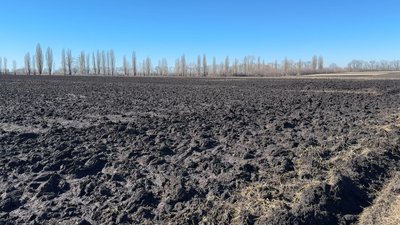Здорожчання дизеля: що очікують від посівної аграрії Полтавщини Здорожчання дизеля: що очікують від посівної аграрії Полтавщини