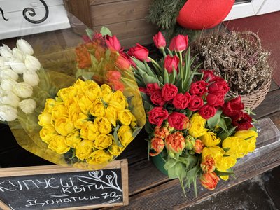 Білі, рожеві, жовті, червоні: у Полтаві продають тюльпани, аби зібрати гроші на авто для ЗСУ Білі, рожеві, жовті, червоні: у Полтаві продають тюльпани, аби зібрати гроші на авто для ЗСУ