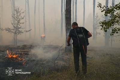 Пожежу загасили Пожежу загасили