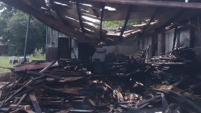 У Ніжині горів притулок для тварин, де утримують близько 90 собак У Ніжині горів притулок для тварин, де утримують близько 90 собак