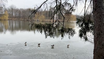 Весняний старт у "Софіївці": як дендропарк на Черкащині готують до туристичного сезону Весняний старт у "Софіївці": як дендропарк на Черкащині готують до туристичного сезону