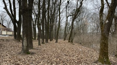 Новий парк "Відрада" у Полтаві: де створять та у чому проблема Новий парк "Відрада" у Полтаві: де створять та у чому проблема