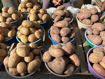 Ціни на картоплю у Житомирі: яка вартість овоча на Житньому ринку