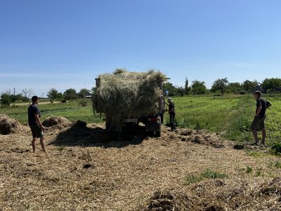 Працівники притулку для тварин у Безводному розвантажують машину з сіном Працівники притулку для тварин у Безводному розвантажують машину з сіном