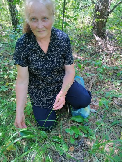 У лісі на Звягельщині знайшли унікальну популяцію орхідей У лісі на Звягельщині знайшли унікальну популяцію орхідей