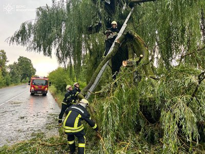Пожежі та повалені дерева: рятувальники здійснили понад 20 виїздів за добу Пожежі та повалені дерева: рятувальники здійснили понад 20 виїздів за добу