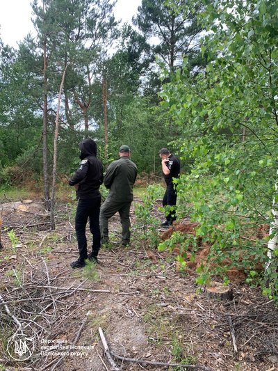 Порубку дерев на майже 420 тис. грн виявили у селі на Рівненщині Порубку дерев на майже 420 тис. грн виявили у селі на Рівненщині