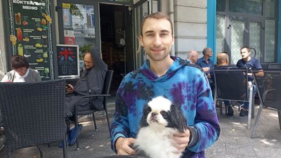 У Житомирі фіксують перегріви у собак: як цього уникнути