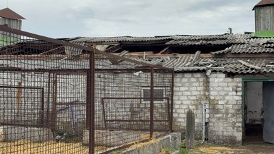 "Тварин відкопували два дні". Внаслідок масованого обстрілу Дніпропетровщини пошкоджено притулок для тварин "Тварин відкопували два дні". Внаслідок масованого обстрілу Дніпропетровщини пошкоджено притулок для тварин