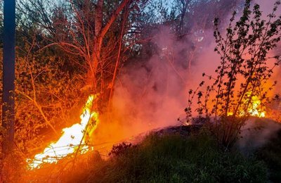 Горіла суха трава, очерет та торф'яний ґрунт: на Черкащині за дві доби сталося 39 пожеж Горіла суха трава, очерет та торф'яний ґрунт: на Черкащині за дві доби сталося 39 пожеж