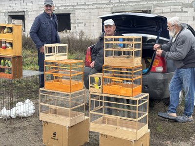 У Первомайську відбулася виставка-ярмарок голубів та екзотичних птахів У Первомайську відбулася виставка-ярмарок голубів та екзотичних птахів