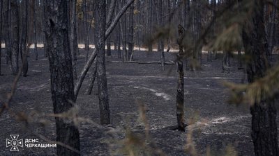 Пожежу ліквідували Пожежу ліквідували