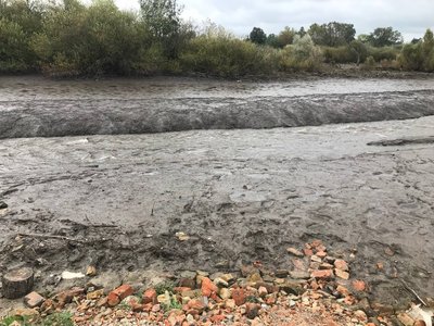 горинь, орендар спустив воду, ставки, тернопільщина, річка горинь, орендар спустив воду, ставки, тернопільщина, річка