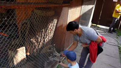 Від 70 до 120 відвідувачів у день приходять до зоокуточка