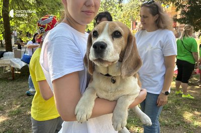 "Все заради дітей": в Одесі відбувся благодійний фестиваль "Все заради дітей": в Одесі відбувся благодійний фестиваль
