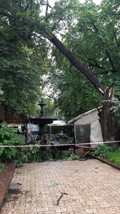 У Києві через грозу та шквальний вітер повалені дерева і впав будівельний кран