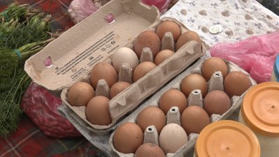 Ціна на яйця в Житомирі: скільки коштує десяток на Житньому ринку та чому подорожчають Ціна на яйця в Житомирі: скільки коштує десяток на Житньому ринку та чому подорожчають