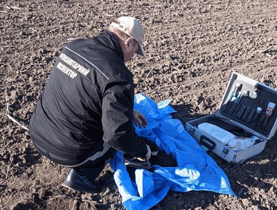 поля, фітосанітарний контроль, шкідники поля, фітосанітарний контроль, шкідники