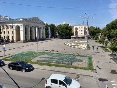 Газанії, петунії та сальвії: на клумбах Полтави висадять 130 тисяч квітів Газанії, петунії та сальвії: на клумбах Полтави висадять 130 тисяч квітів